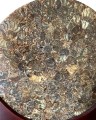 Sculpture - Natural Ammonite Fossil + stand