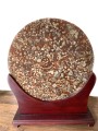 Sculpture - Natural Ammonite Fossil + stand