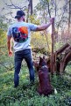 T-shirt LSD - gray