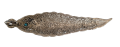 podstawka