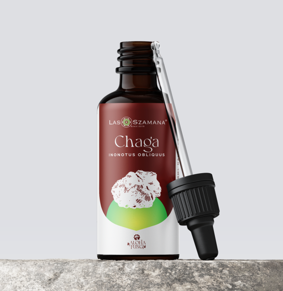 Chaga (Błyskoporek podkorowy). Nalewka 50 ml