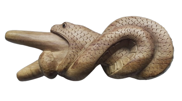 "FEEDING SNAKE" Kuripe from Crocodile Wood (Zanthoxylum rhetsa)