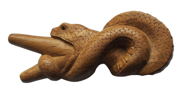  "FEEDING SNAKE" Kuripe from Teak Wood (Tectona grandis)