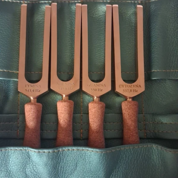 Tuning Forks DNA Nucleotide 