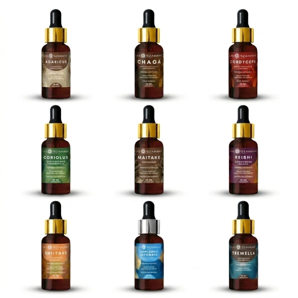 Zestaw Grzybów Funkcjonalnych x6