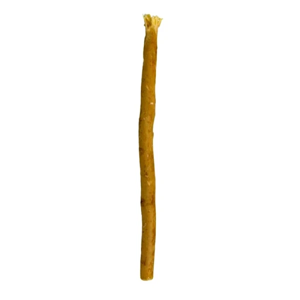Miswak - patyczek do czyszczenia zębów i dziąseł, naturalna szczoteczka