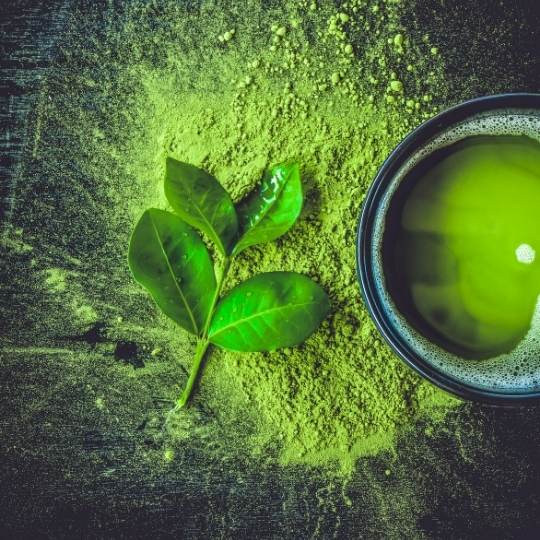 Matcha - Japanese Tea