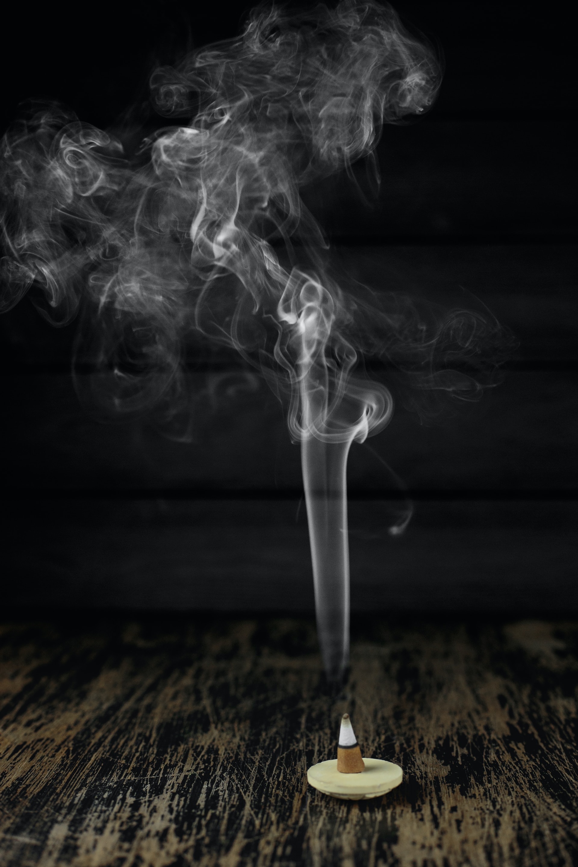 Palo Santo: The Sacred Wood for Cleansing, Healing, and Spiritual Connection