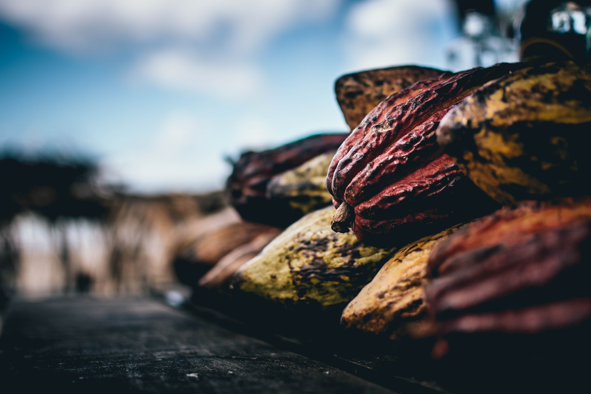 Exploring Ceremonial Cacao: Ancient Rituals and Modern-Day Benefits