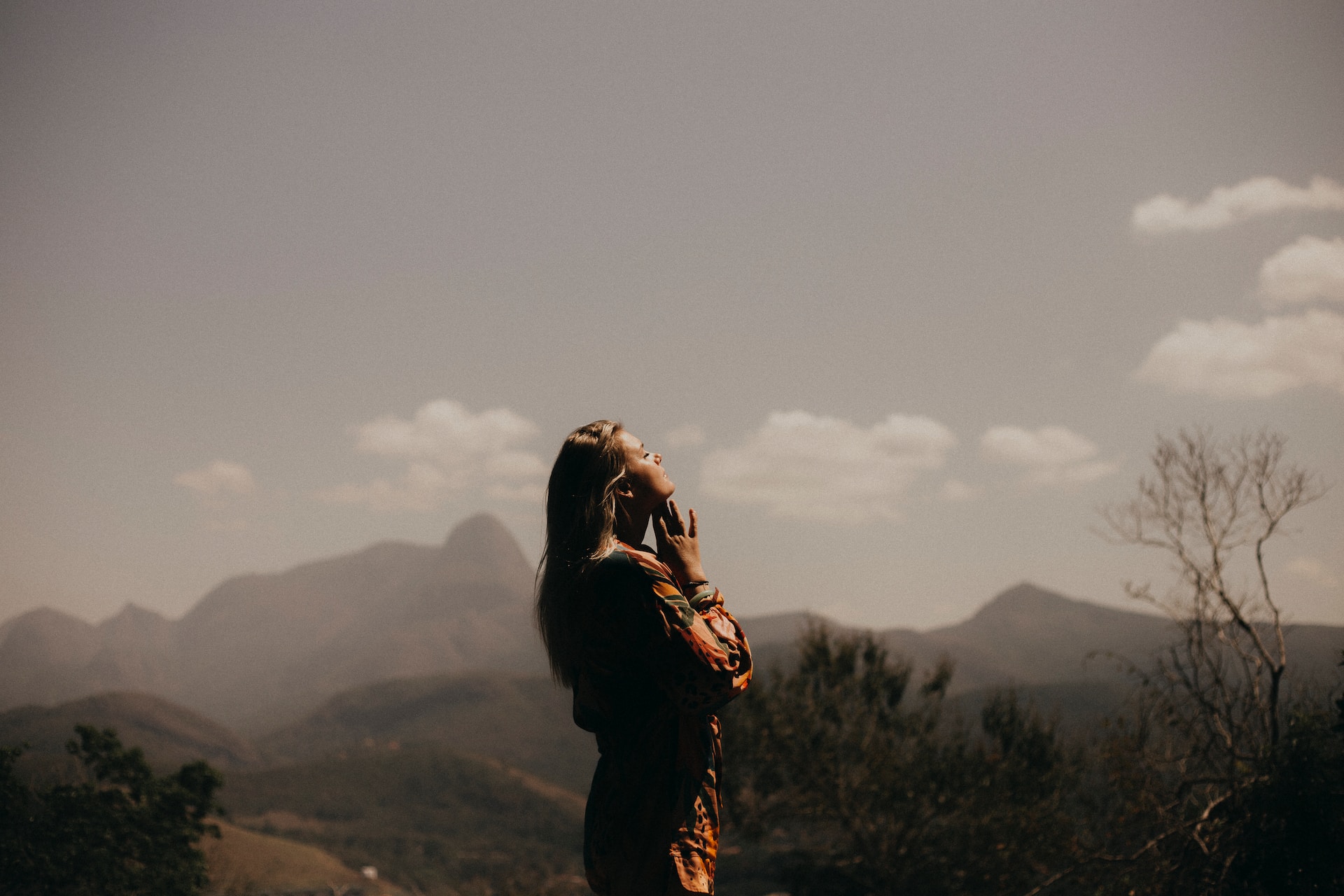 The Spiritual Magic of Palo Santo: A Guide to its History, Uses, and Benefits