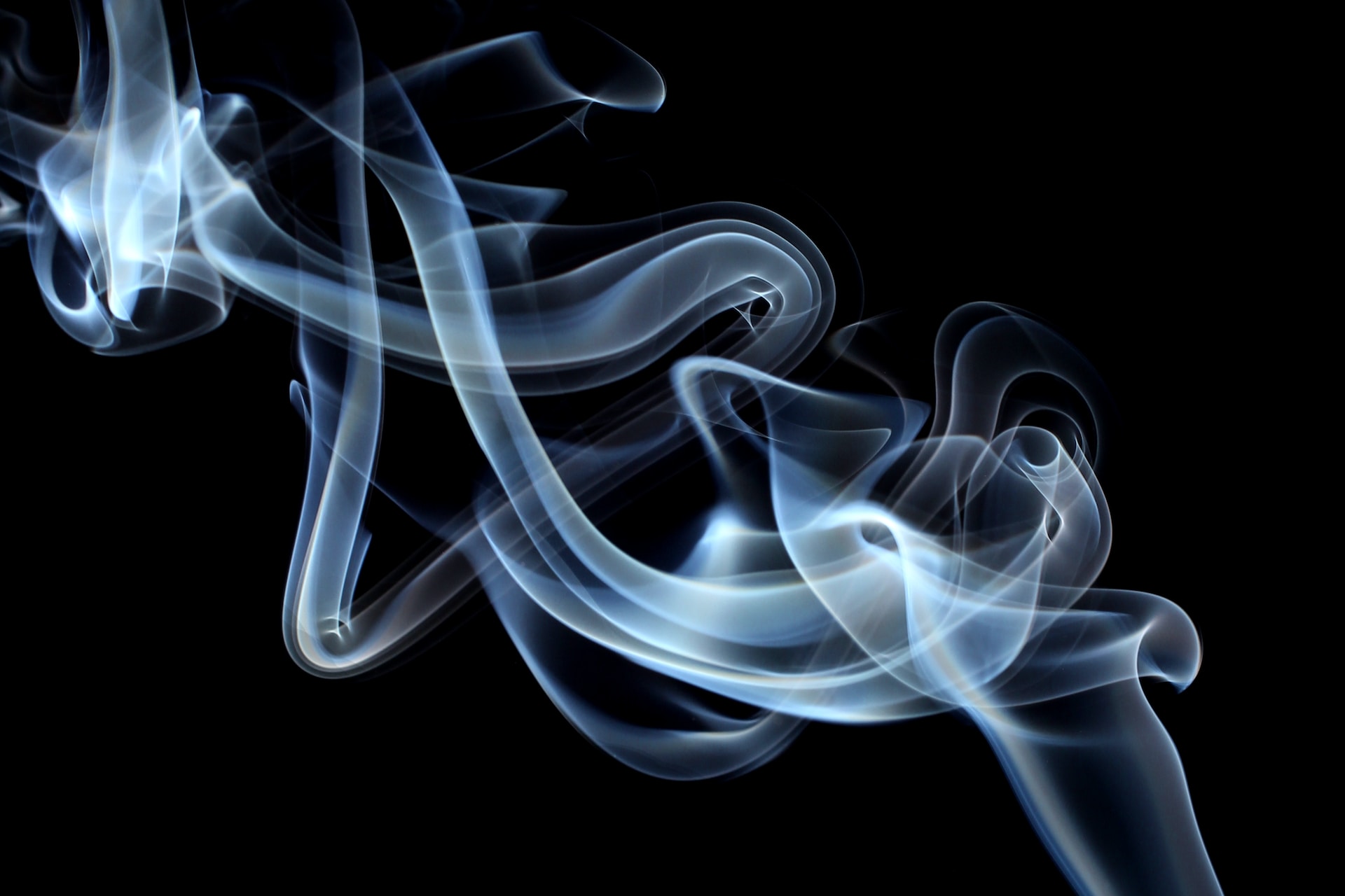 The Healing Power of Palo Santo: Enhancing Well-being and Spiritual Growth through Sacred Smoke